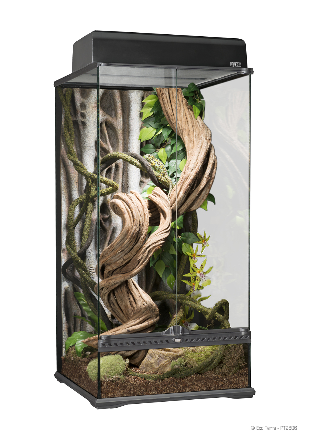 Ongrijpbaar Buiten verslag doen van Exo Terra Rainforest Terrarium Paludarium - 45x45x90cm -  Reptielenspullenkopen.nl
